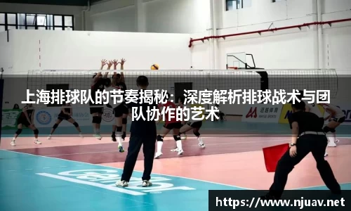 上海排球队的节奏揭秘：深度解析排球战术与团队协作的艺术